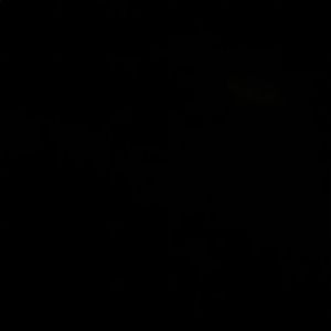 Meet your Posher, Lily